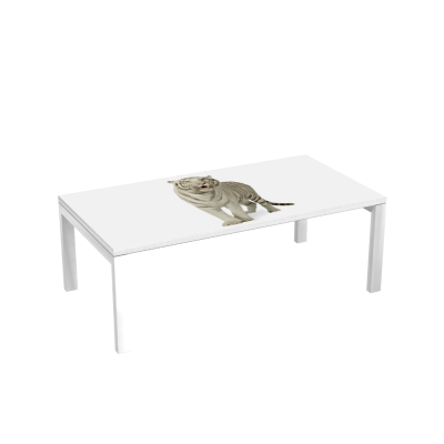 Table d'accueil 114 cm